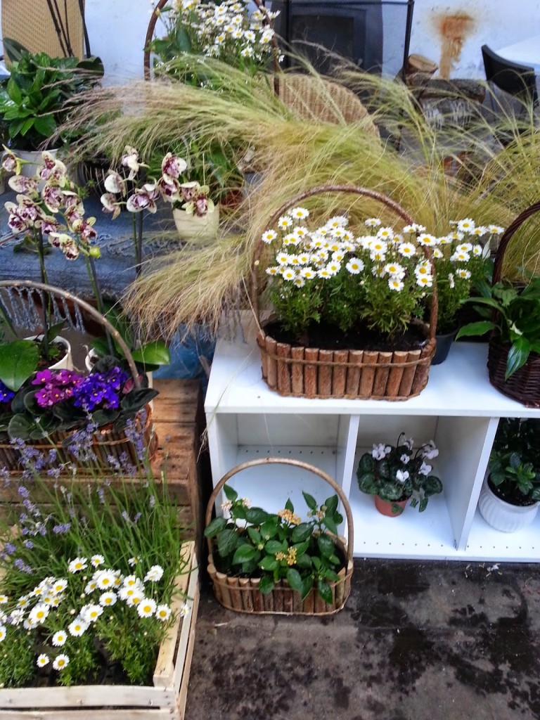 Bio Bazar