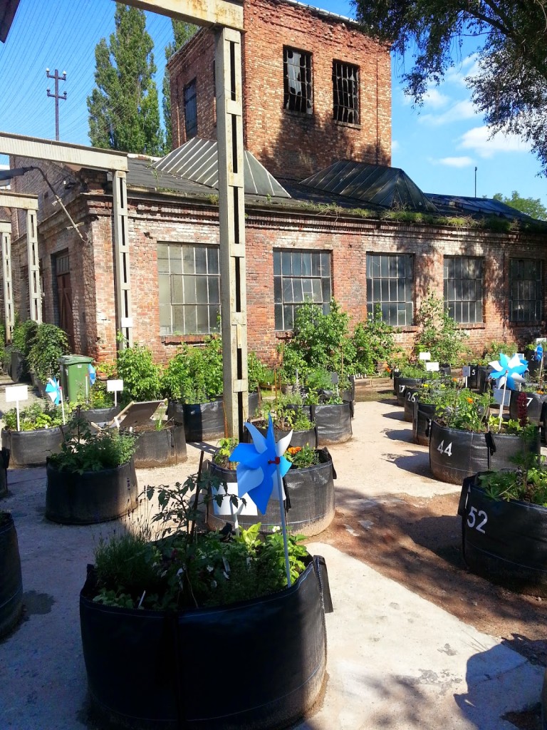 Bio Bazar
