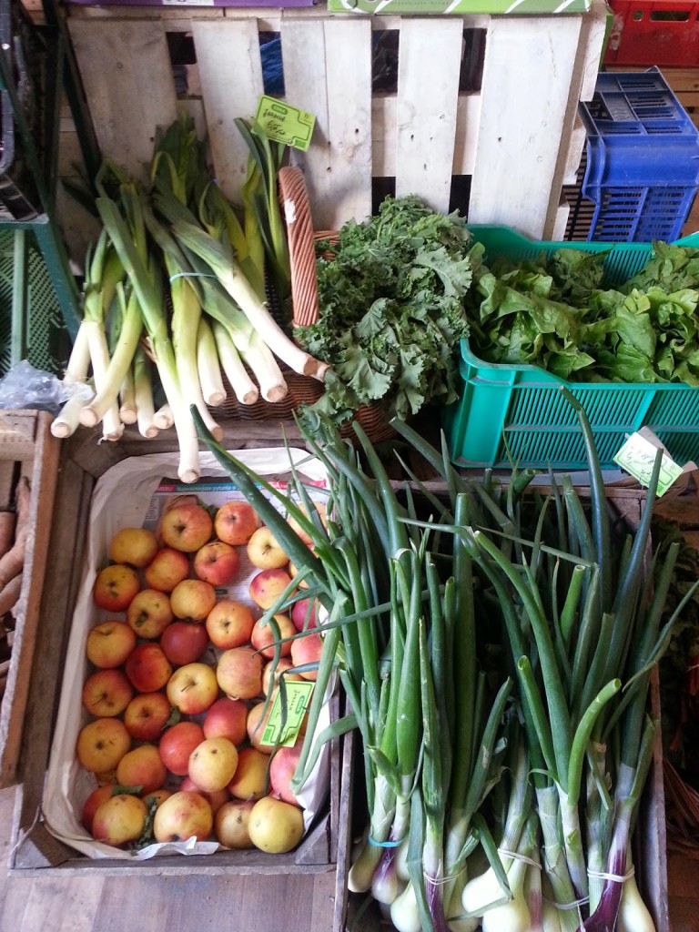 Bio Bazar