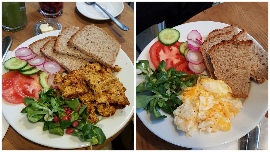 Bielany na kawę Roślina