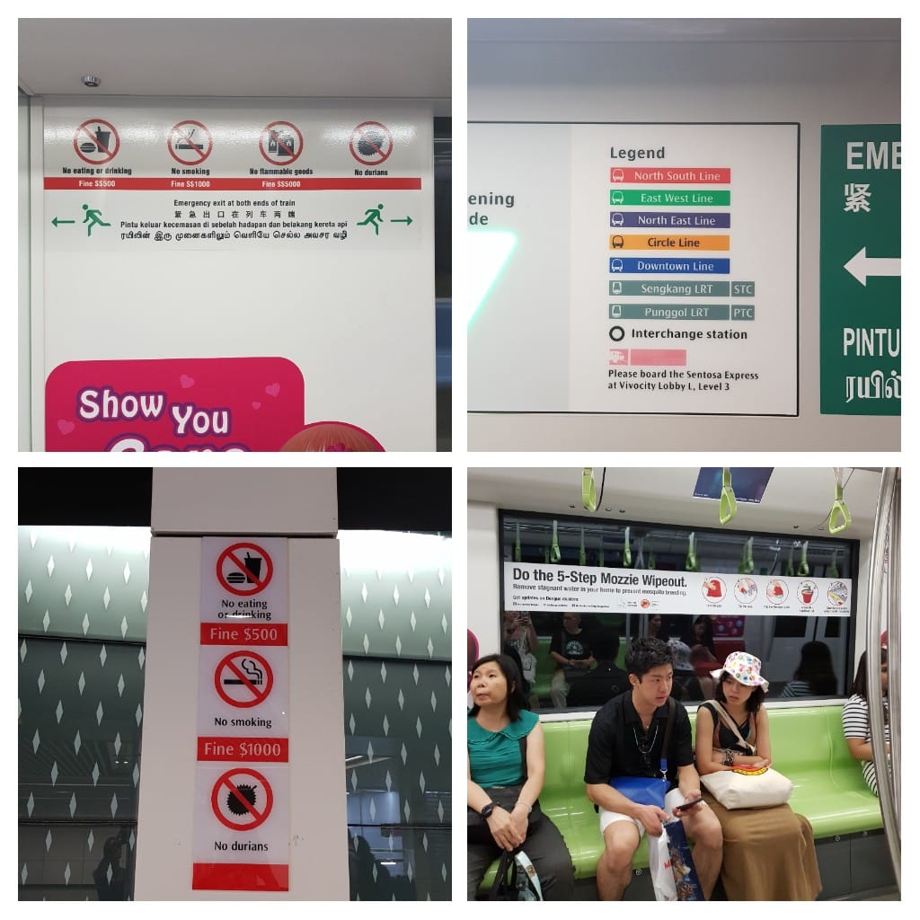 Singapur zakazy
