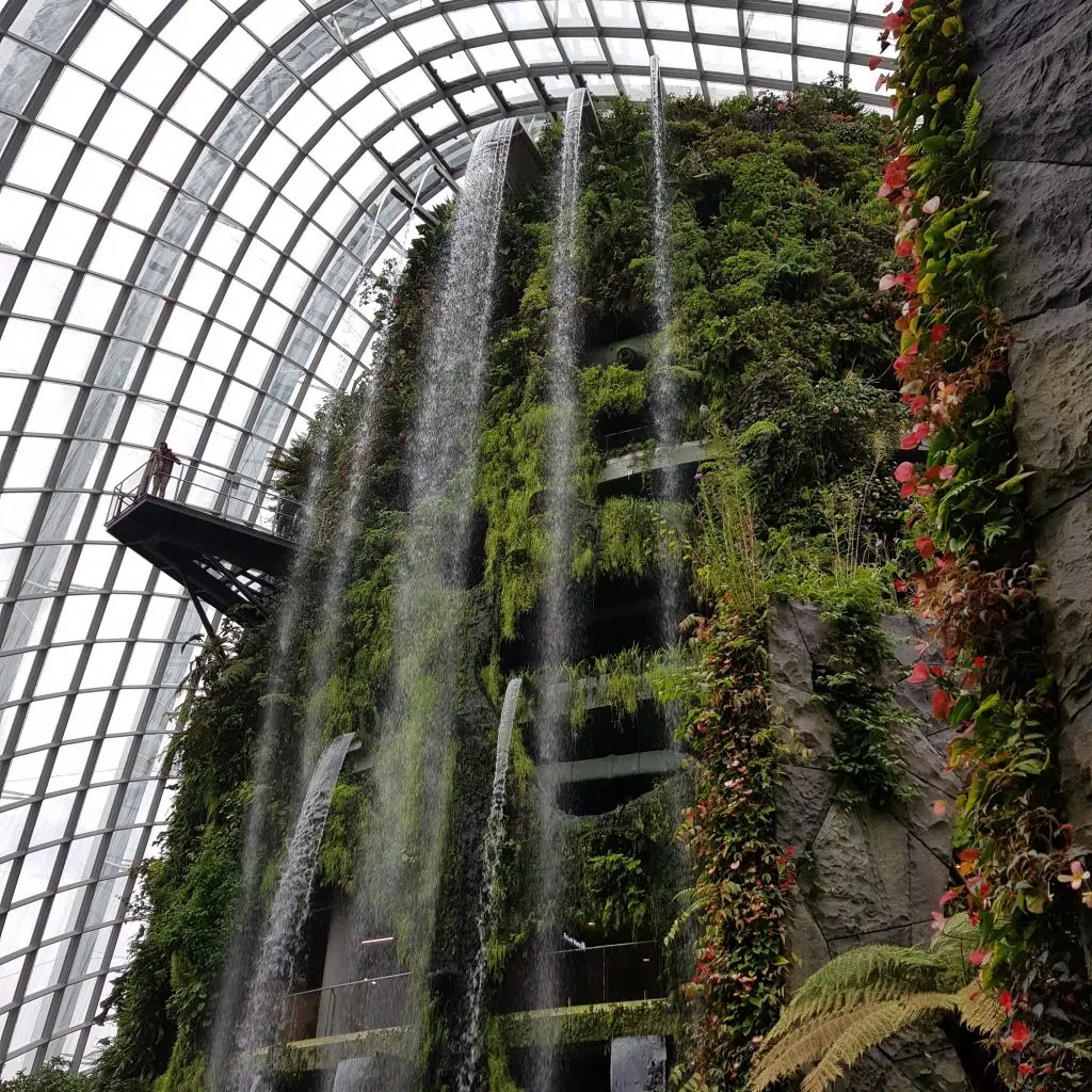 zobaczyć Singapur cloud forest