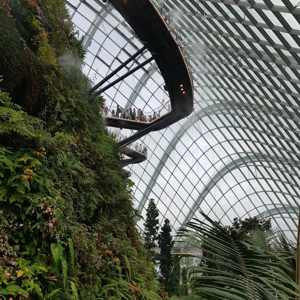 zobaczyć singapur cloud forest 3