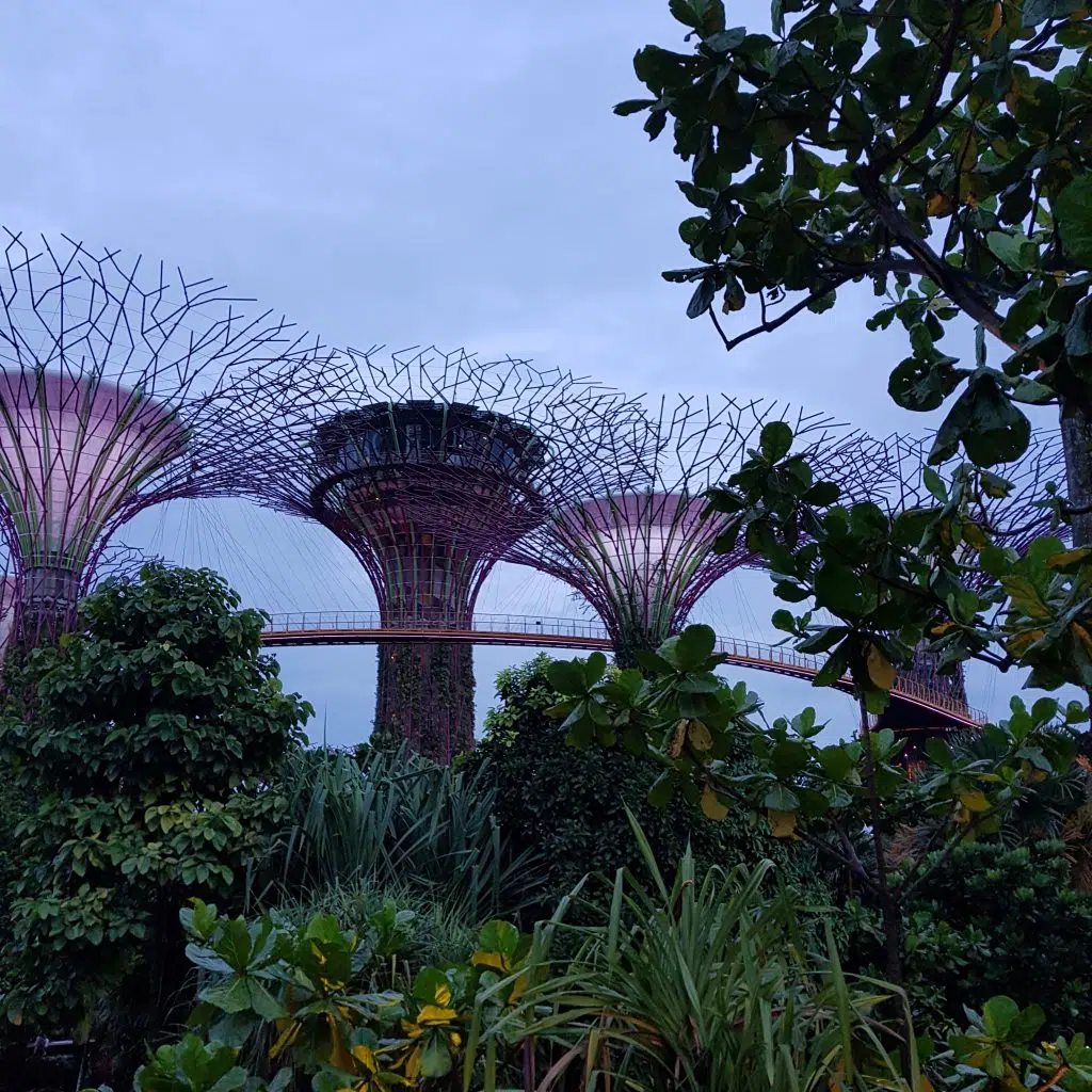 zobaczyć Singapur nocą