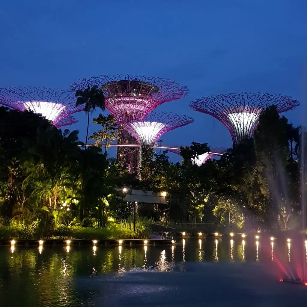 zobaczyć Singapur nocą