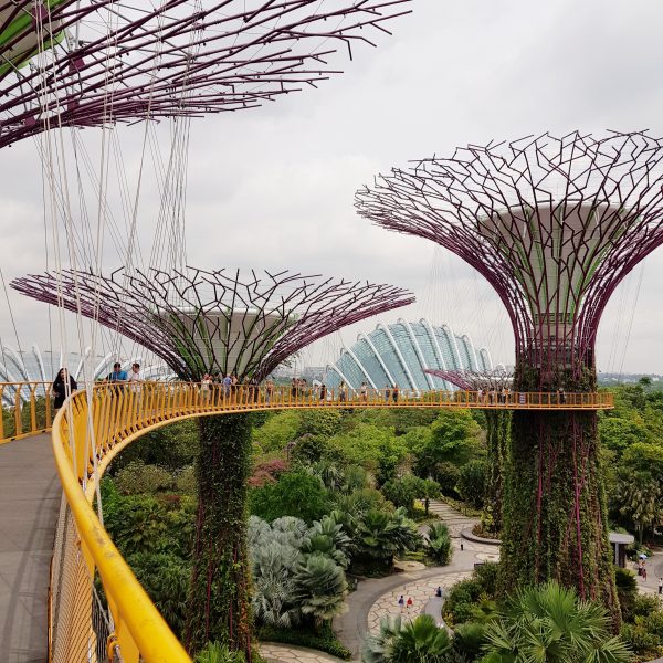 zobaczyć Singapur