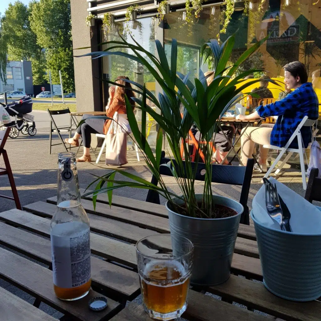 wegański gdańsk falla