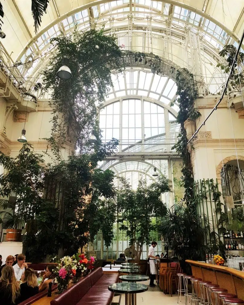 trzy dni w wiedniu palmenhaus