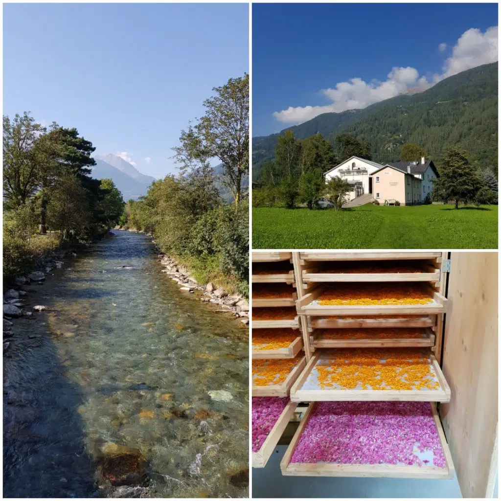 poziągiem po Szwajcarii - Raselli - suszarnia ziół i kwiatów