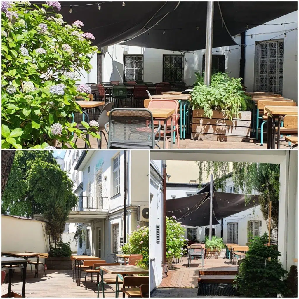 Lato w Warszawie Ale Wino