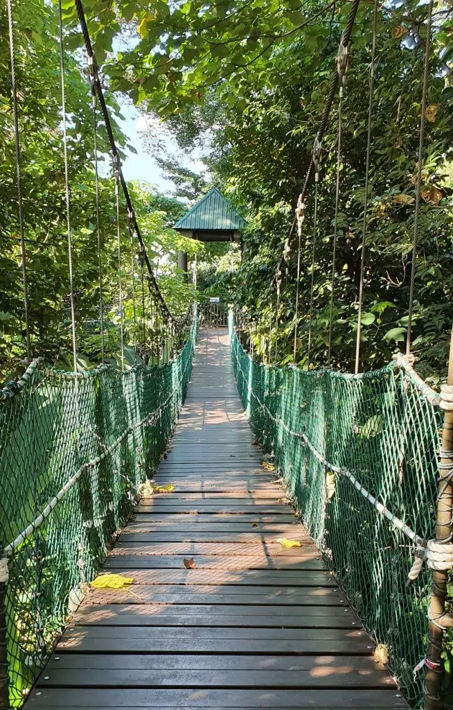 Co warto zobaczyć w Kuala Lumpur?