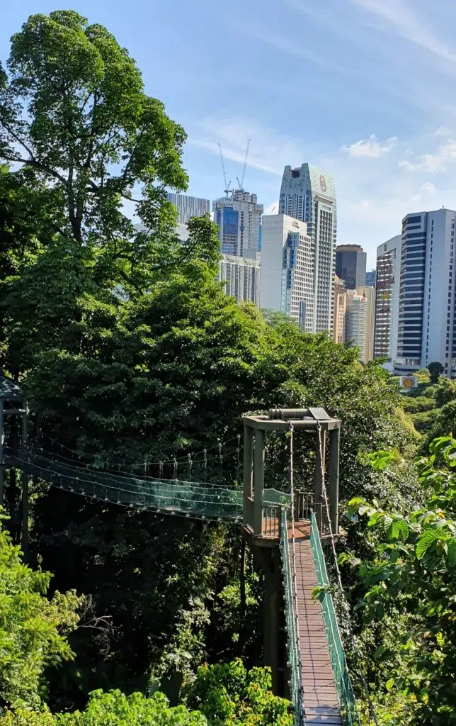 Bukit Nanas Forest Reserve