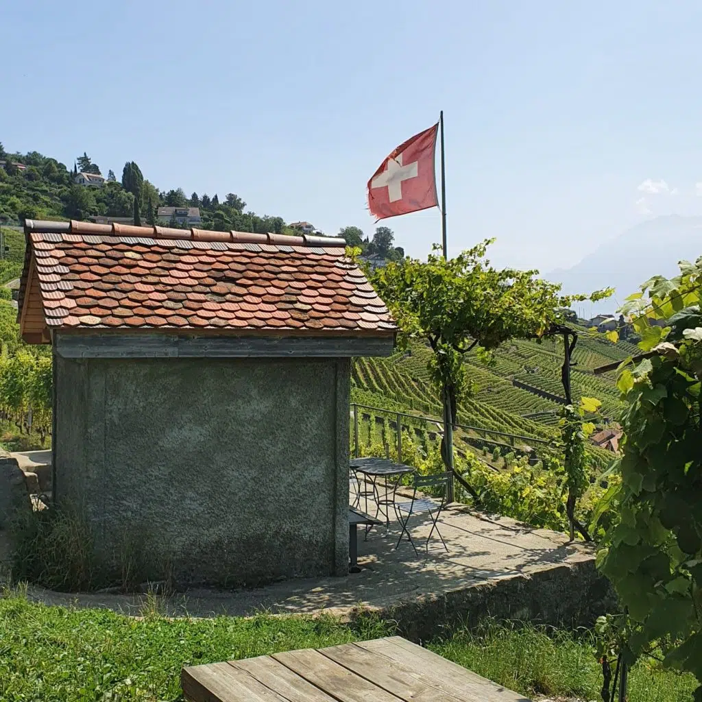 piknikowe miejsce w Lavaux