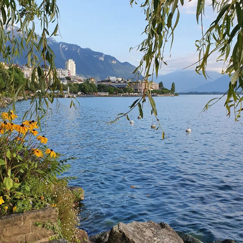 Brzeg Jeziora Genewskiego