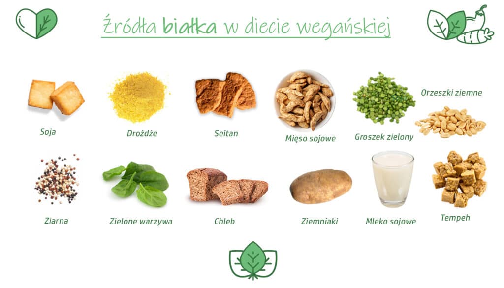 Źródłą białka w diecie wegańskiej i wegetariańskiej