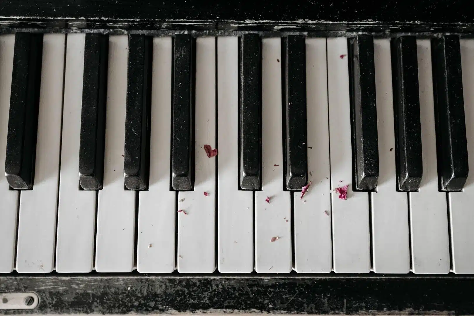 Okruszki na klawiaturze fortepianu