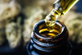Zastosowanie oleju CBD w terapii naturalnej – przegląd badań i przypadków