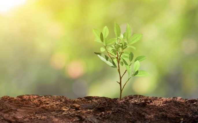 Przyszłość ochrony upraw